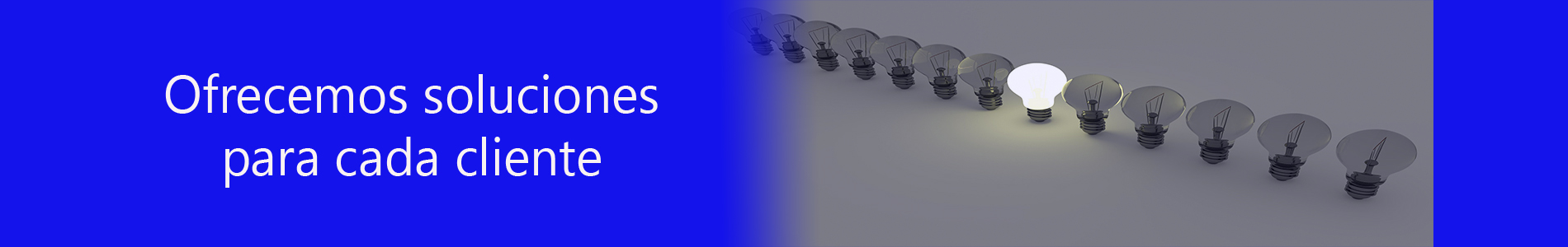 Soluciones para cada cliente